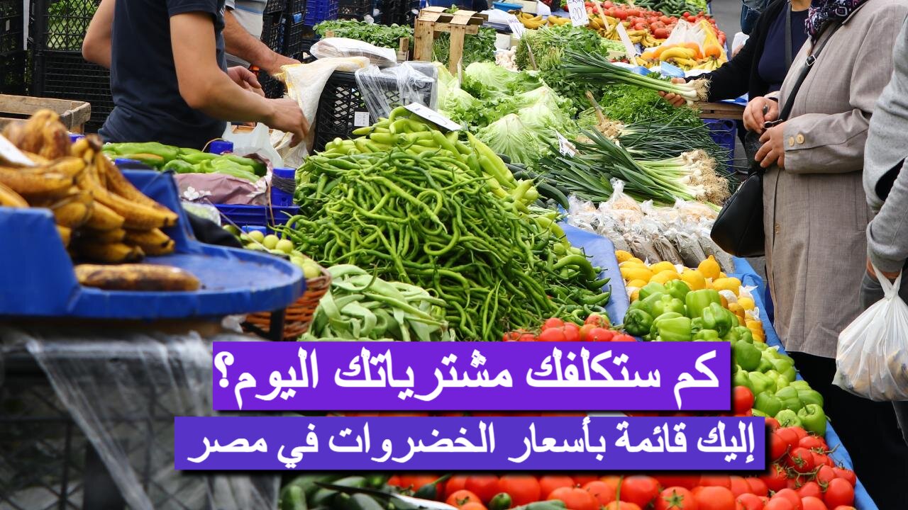 "هتشتري بكام النهاردة" أسعار الخضروات اليوم الجمعة 14 فبراير.. توقعات بالزيادة قبل شهر رمضان!! 2 “هتشتري بكام النهاردة” أسعار الخضروات اليوم الجمعة 14 فبراير.. توقعات بالزيادة قبل شهر رمضان!!