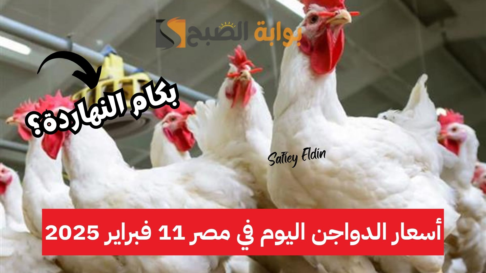 خزني قبل رمضان.. أسعار الدواجن اليوم في مصر الثلاثاء 11 فبراير 2025 2 خزني قبل رمضان.. أسعار الدواجن اليوم في مصر الثلاثاء 11 فبراير 2025