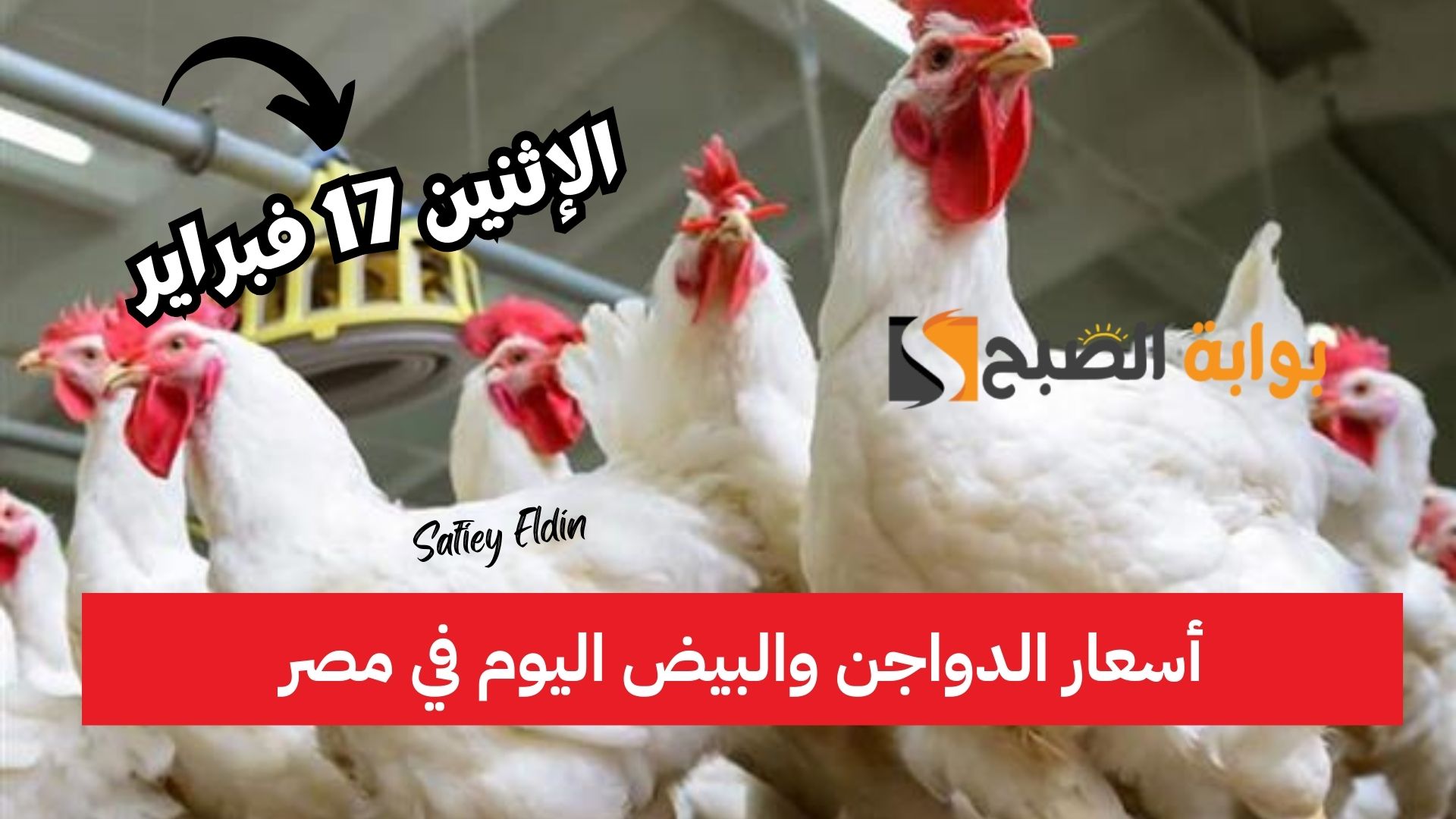 أسعار الدواجن والبيض اليوم في مصر الإثنين 17 فبراير 2025 في الأسواق المحلية 2 أسعار الدواجن والبيض اليوم في مصر الإثنين 17 فبراير 2025 في الأسواق المحلية