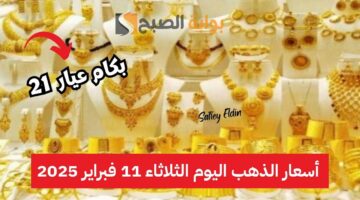 أسعار الذهب اليوم الثلاثاء 11 فبراير
