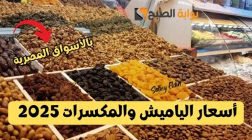 أسعار الياميش والمكسرات 2025 1