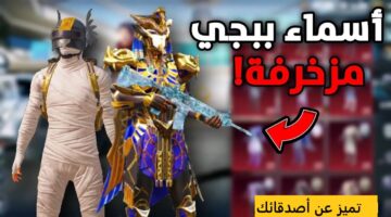 أسماء ببجي مزخرفة