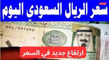 ارتفاع سعر الريال السعودي مقابل الجنيه المصري اليوم الاثنين 10 2 2025