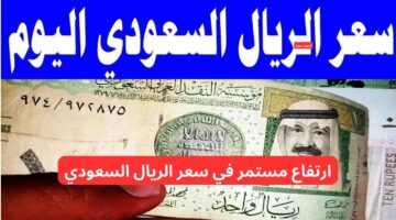ارتفاع سعر الريال السعودي مقابل الجنيه المصري اليوم الخميس 13 2 2025