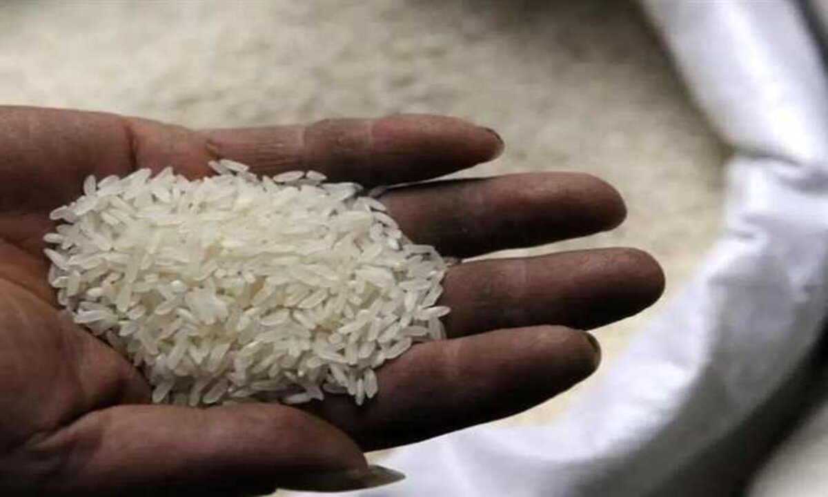 سعر طن الأرز الشعير اليوم.. تحديث لحظي الان 2 سعر طن الأرز الشعير اليوم.. تحديث لحظي الان