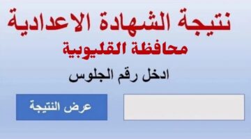 استعلام نتيجة الصف الثالث الإعدادي محافظة القليوبية 2025 الترم الأول