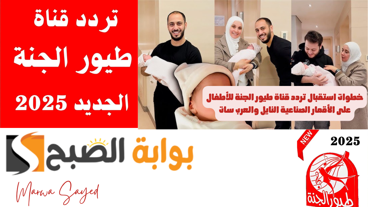 بعد التحديث الأخير .. إليك خطوات استقبال تردد قناة طيور الجنة للأطفال على الأقمار الصناعية النايل والعرب سات 2025 5 بعد التحديث الأخير .. إليك خطوات استقبال تردد قناة طيور الجنة للأطفال على الأقمار الصناعية النايل والعرب سات 2025