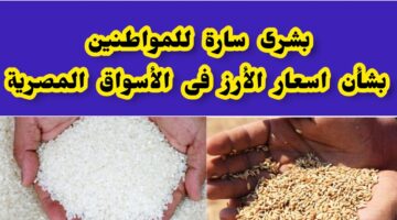 اسعار الارز الشعير فى مصر