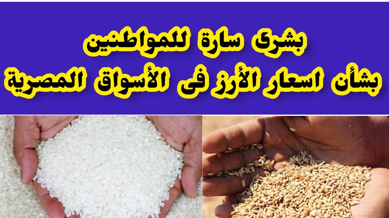 اسعار الارز اليوم ... سعر الارز والشعير فى مصر اليوم 19 فبراير 2025 قبل حلول شهر رمضان 5 اسعار الارز اليوم … سعر الارز والشعير فى مصر اليوم 19 فبراير 2025 قبل حلول شهر رمضان