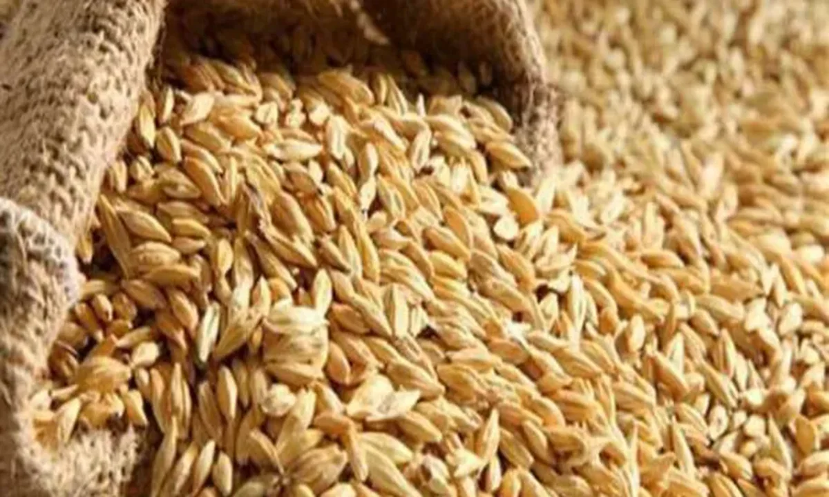 بعد تثبيت الفائدة.. سعر طن الأرز الشعير نهاية تعاملات اليوم 2 بعد تثبيت الفائدة.. سعر طن الأرز الشعير نهاية تعاملات اليوم