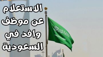 الاستعلام عن موظف وافد
