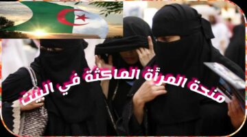 التسجيل في منحة المرأة الماكثة في الجزائر