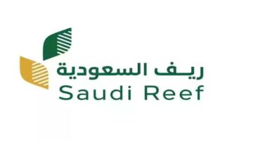 الحصول على دعم ريف وشروطه