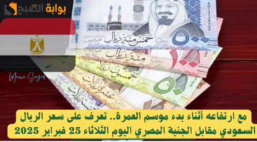 الريال السعودي مقابل الجنية المصري اليوم