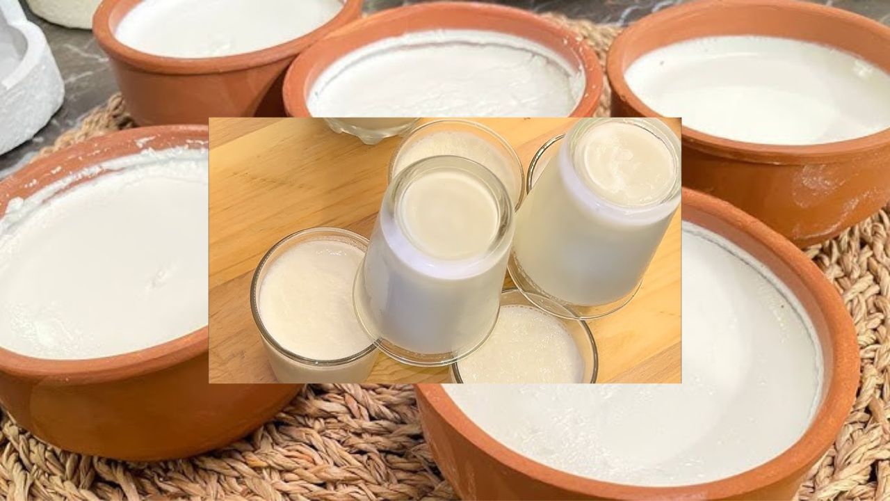 زبادي صحي بدون مواد حافظة لسحور رمضان .. حضري الزبادي في المنزل بسهولة وبمذاق كريمي لا يقاوم 5 زبادي صحي بدون مواد حافظة لسحور رمضان .. حضري الزبادي في المنزل بسهولة وبمذاق كريمي لا يقاوم