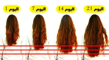 السبع زيوت لتطويل الشعر