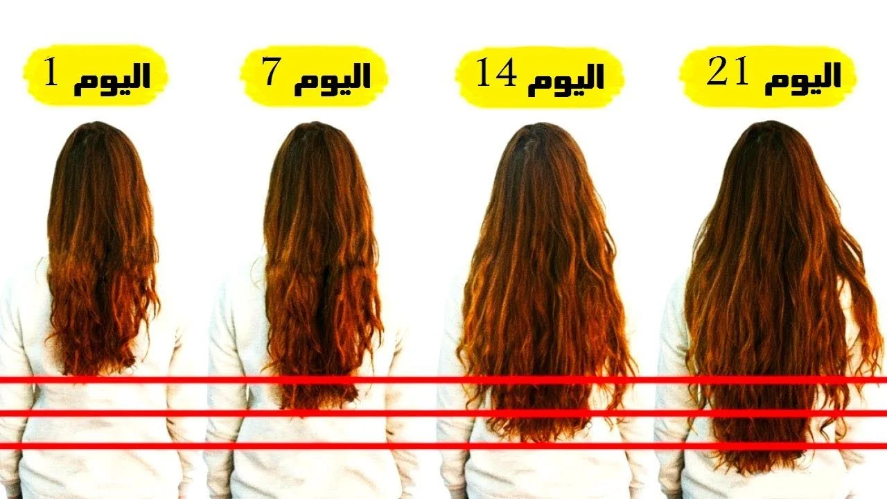النتيجة مبهرة من أول استخدام .. وصفة الزيوت الأربعة لإطالة الشعر بسرعة وتعزيز نموه