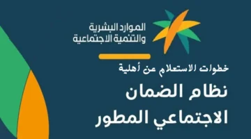 الضمان