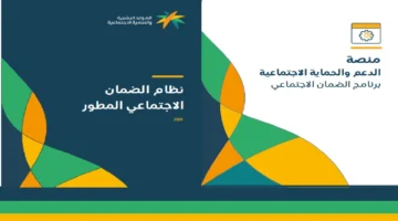الضمان الاجتماعي