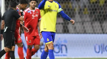 النصر والوحدة 5