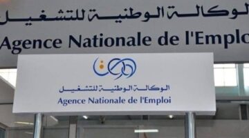 الوكالة الوطنية للتشغيل. رابط التسجيل في منحة المرأة الماكثة بالبيت 2025 وأهم الشروط