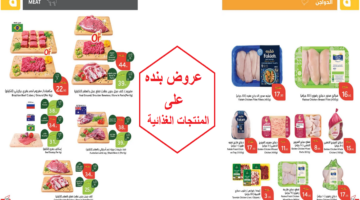 بنده 2