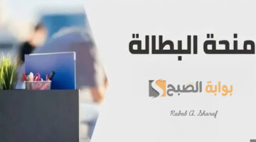 تجديد منحة البطالة anem.dz