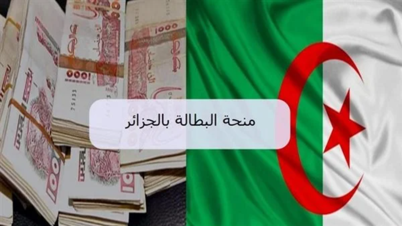 خطوات تجديد منحة البطالة في الجزائر 2025 Wassitonline anem dz 5 خطوات تجديد منحة البطالة في الجزائر 2025 Wassitonline anem dz
