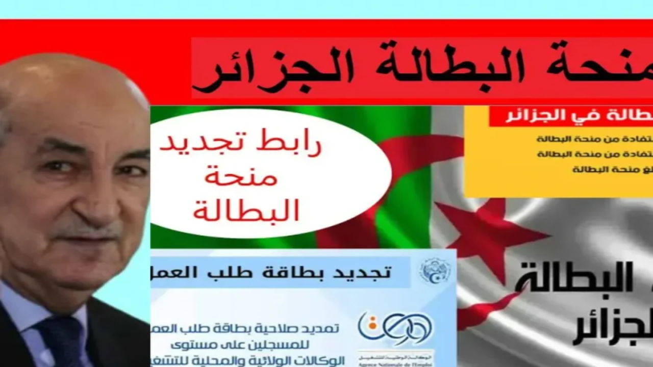 لينـــك تجديد منحة البطالة من الهاتف 2025 والشروط المطلوبة عبر الوكالة الوطنية للتشغيل anem.dz