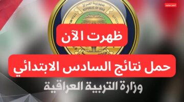 تحميل نتائج التمهيدي السادس الابتدائي 2025 PDF موقع نتائجنا