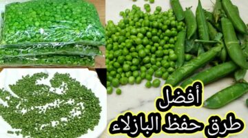 تخزين البازلاء في الفريزر