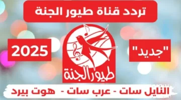 تردد قناة طيور الجنة 3 1 1.webp 800x500 1