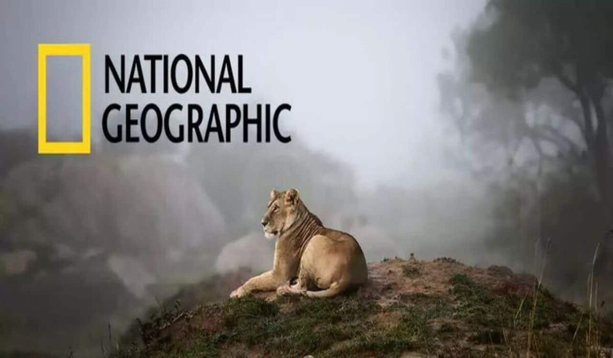 “استقبلها واستمتع بكل جديد”.. تردد قناة ناشيونال جيوغرافيك National Geographic 2025