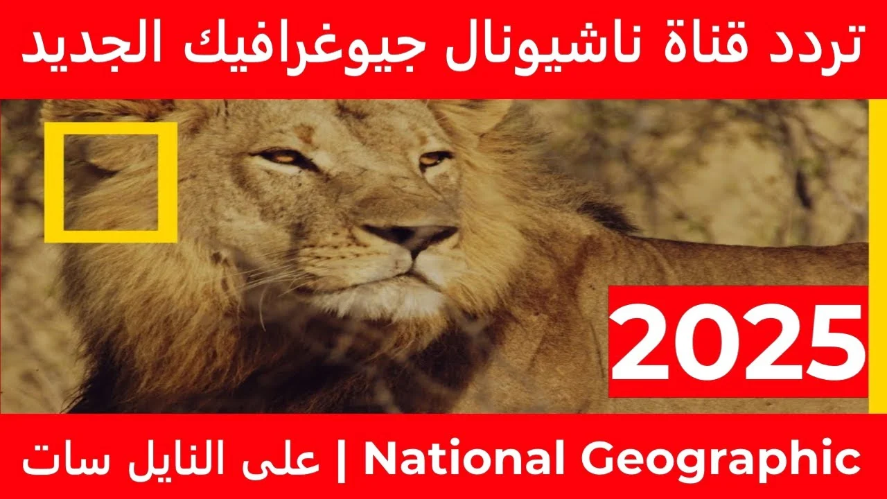 تردد قناة ناشيونال جيوغرافيك 2025 National Geographic على جميع الأقمار الصناعية بأعلى جودة HD وأقوى إشارة