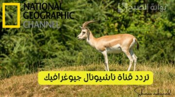 تردد قناة ناشيونال جيوغرافيك