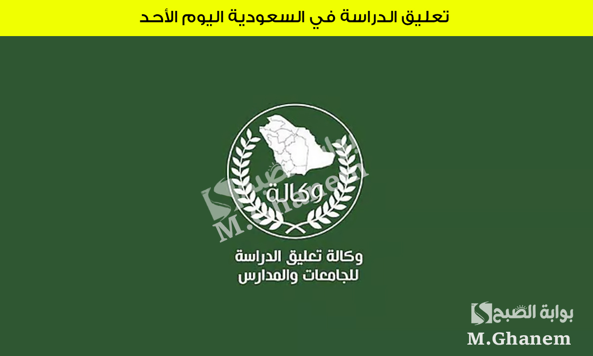 رسميًا.. تعليق الدراسة في السعودية اليوم الأحد وأهم الجهات المعلن عنها بسبب سوء الأحوال الجوية 5 رسميًا.. تعليق الدراسة في السعودية اليوم الأحد وأهم الجهات المعلن عنها بسبب سوء الأحوال الجوية
