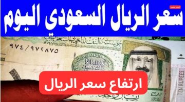 تفاصيل ارتفاع سعر الريال السعودي مقابل الجنيه المصري اليوم الأربعاء 12 2 2025