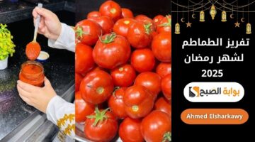 تفريز الطماطم لشهر رمضان 2025