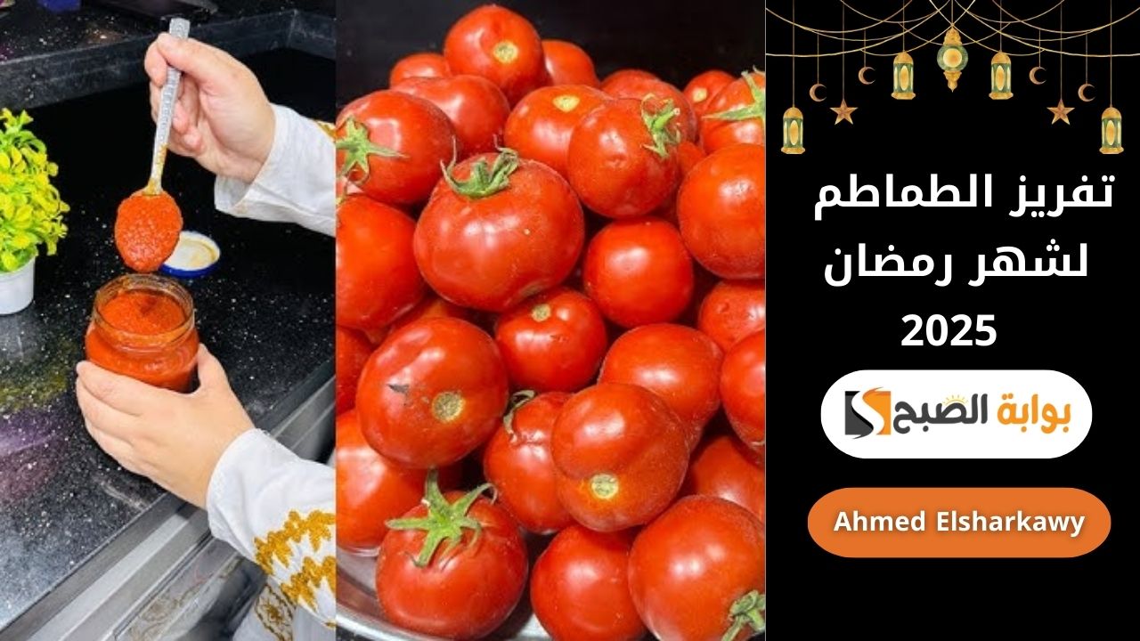 تفريز الطماطم لشهر رمضان 2025 | أفضل الطرق لحفظها طازجة لفترة أطول 5 تفريز الطماطم لشهر رمضان 2025 | أفضل الطرق لحفظها طازجة لفترة أطول