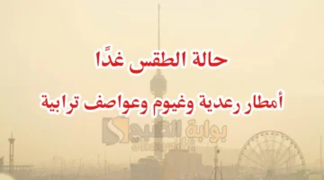 حالة الطقس غدًا. أمطار رعدية وغيوم وعواصف ترابية والأنواء الجوية تحذر من طقس العراق الأيام القادمة