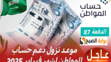 حساب المواطن 17