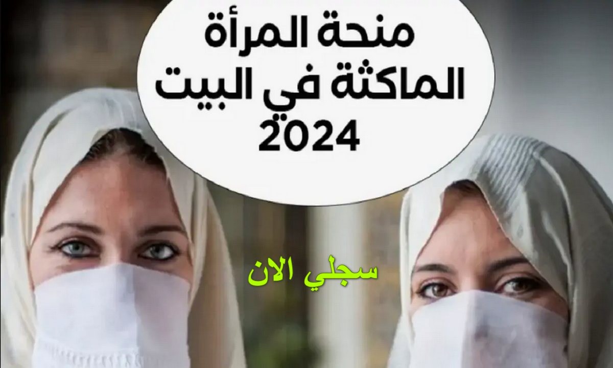 “قدمي واحصلي على 800 دينار” خطوات التسجيل في منحة المرأة الماكثة في البيت 2025 أون لاين عبر anem.dz