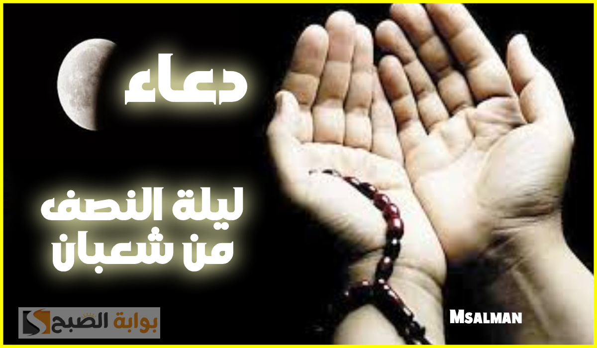 دعاء ليلة النصف من شعبان.. توسل ورجاء من عالم أزهري.. ردده الآن 5 دعاء ليلة النصف من شعبان.. توسل ورجاء من عالم أزهري.. ردده الآن