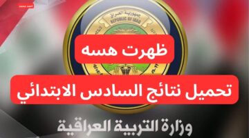رابط تحميل نتائج التمهيدي 2025 سادس ابتدائي pdf موقع نتائجنا مباشر