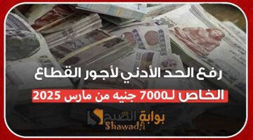 رفع الحد الأدنى للأجور 2025. اعرف موعد تطبيق الزيادة رسميًا