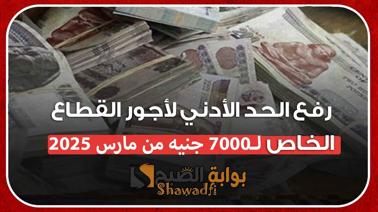 رفع الحد الأدنى للأجور 2025.. اعرف موعد تطبيق الزيادة رسميًا 5 رفع الحد الأدنى للأجور 2025.. اعرف موعد تطبيق الزيادة رسميًا