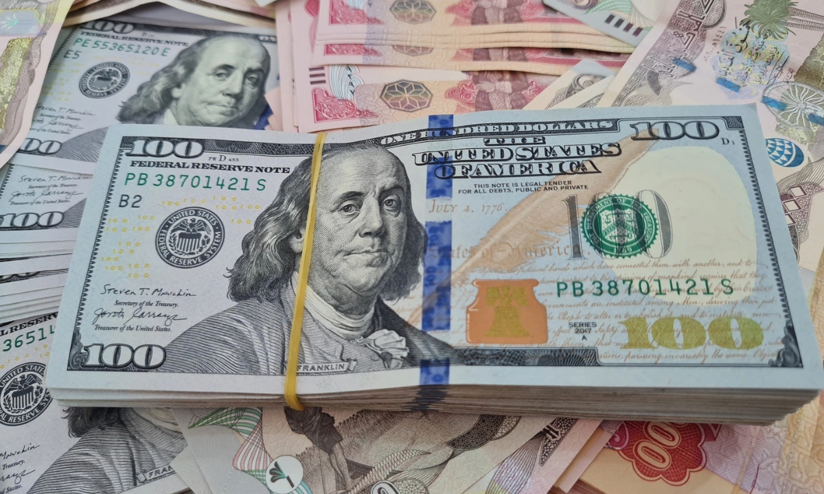 تراجعات صادمة.. سعر 100 دولار في العراق اليوم بعمليات الشراء والمبيع بالبورصة وأسواق العواصم 2 تراجعات صادمة.. سعر 100 دولار في العراق اليوم بعمليات الشراء والمبيع بالبورصة وأسواق العواصم