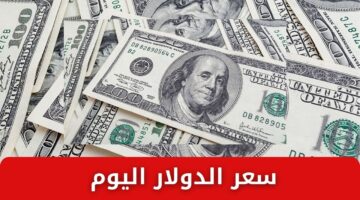 سعر الدولار اليوم مقابل الجنيه المصري 1