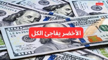 سعر الدولار مقابل الجنيه المصرى اليوم السبت 8 2 2025