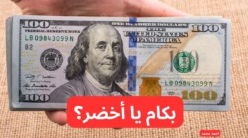 سعر الدولار مقابل الجنيه المصري اليوم الأربعاء 12 2 2025